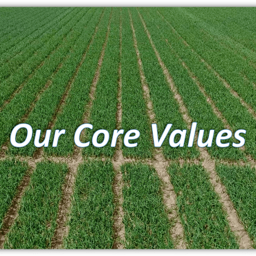 Tailored Packaging for Every Market