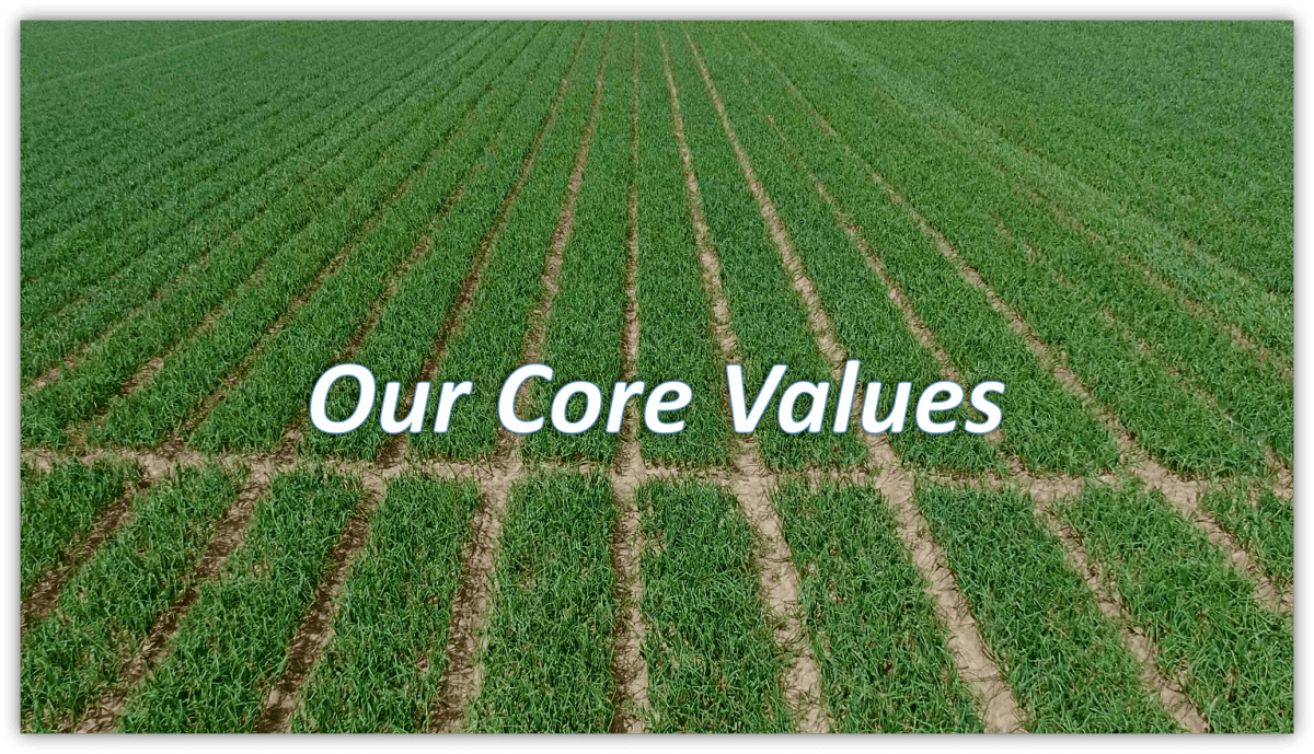 Tailored Packaging for Every Market