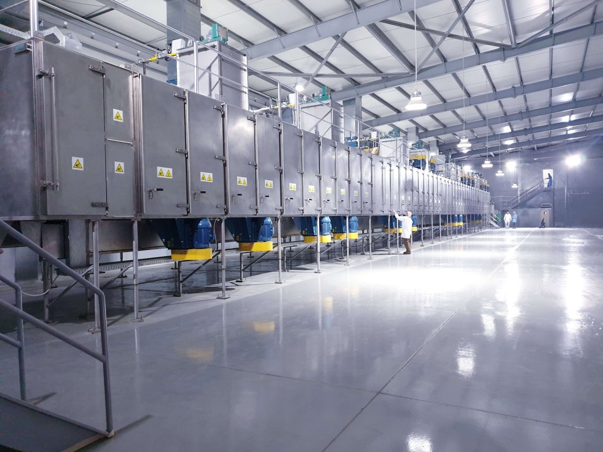 Our Successful story