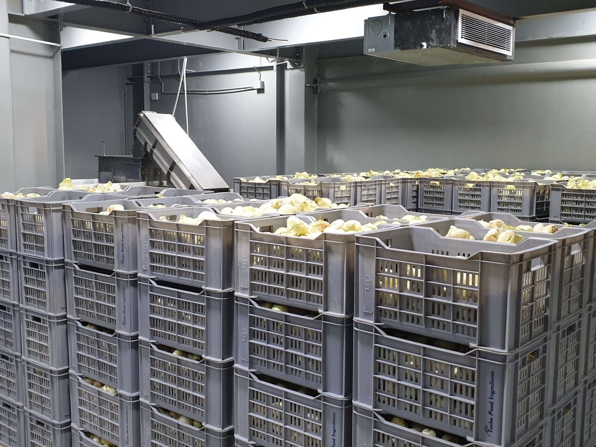 Our Agricultural Partners